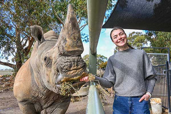 white-rhino-encounter-at-halls-gap-zoo2