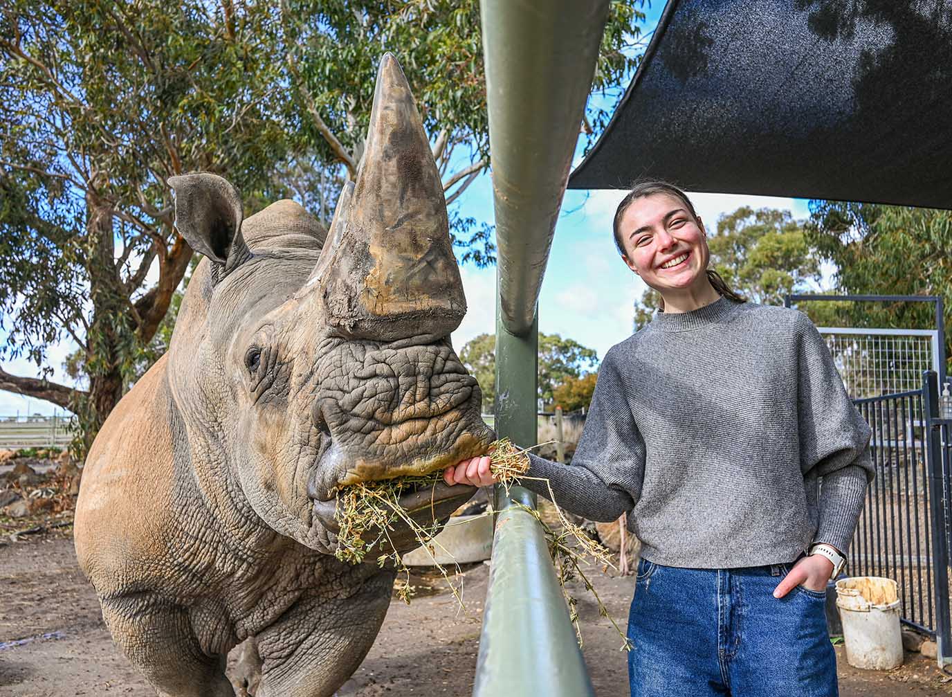 white-rhino-encounter-at-halls-gap-zoo